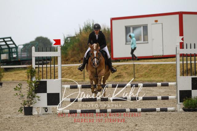 DKP47287 | Turniersportfotografie; Pferdefotografie; Dressurfotografie