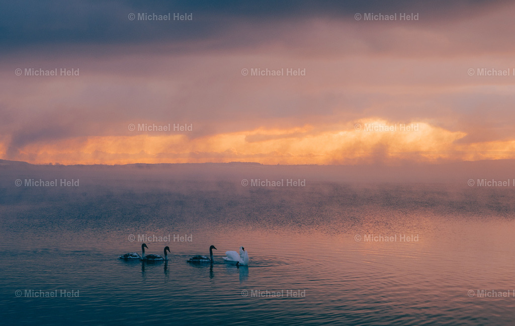 Winter am Selenter See | Profi-Fotos über Schleswig-Holstein und dem ganzen Norden für Büro, Hotel, Ferienhaus, Ferienwohnung, Wohnzimmer, Arztpraxis uvm. jetzt bestellen. - Realisiert mit Pictrs.com
