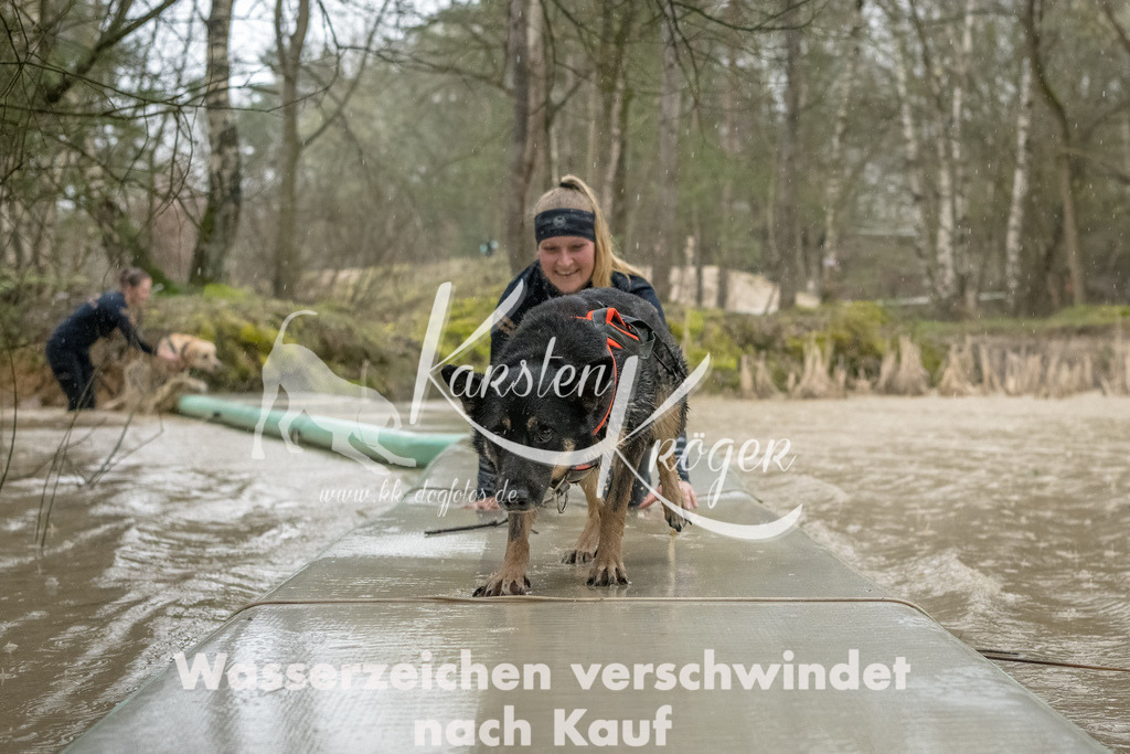 1049_ZZ93499-Bearbeitet | kk-dogfotos