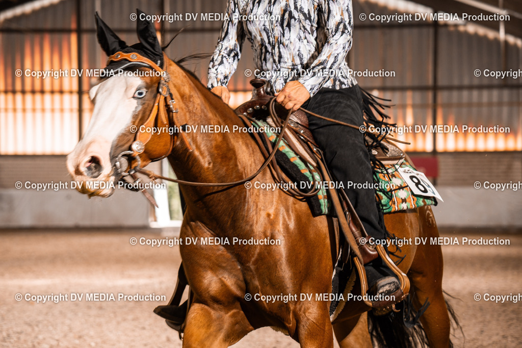 ZH100017 | dv-media-shop - Realisiert mit Pictrs.com