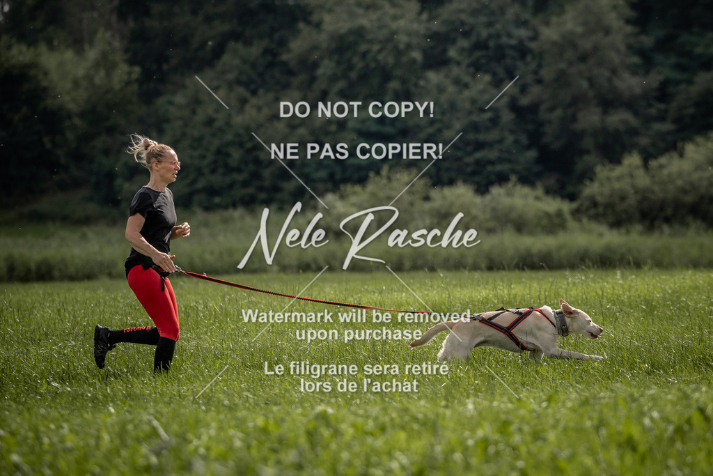 nelerasche_DoN_178 | nelerasche