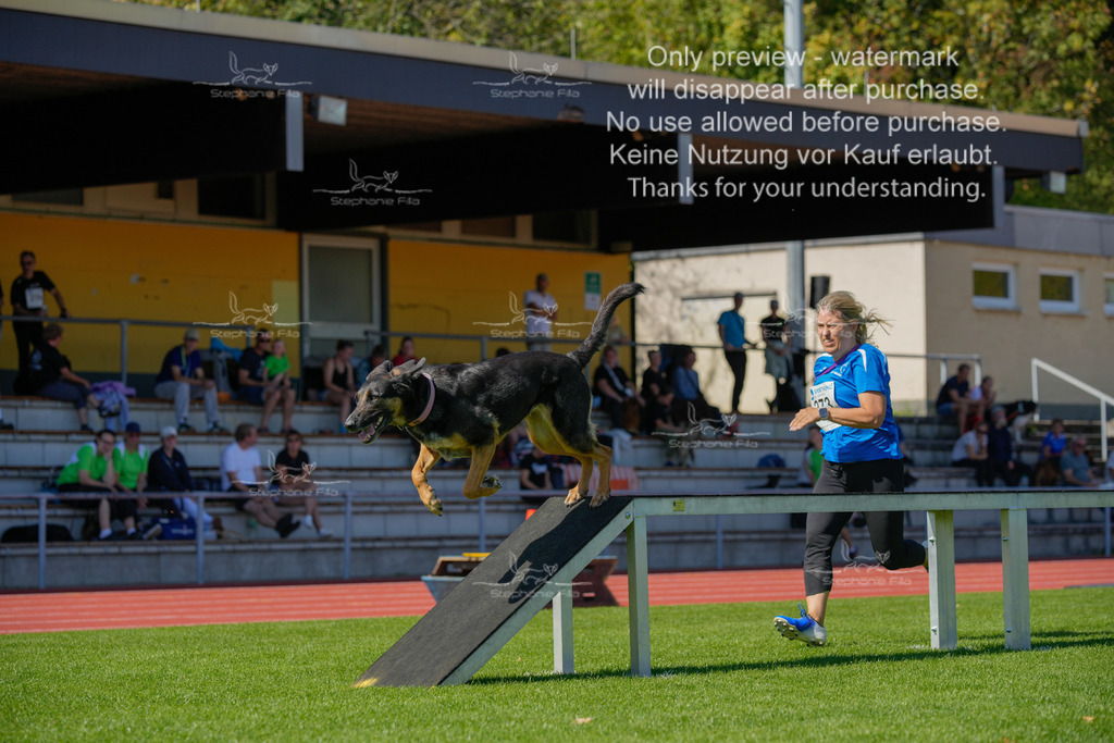 Sonntag_VK Hindernis (496 von 671) | stephaniefillaphotographie - Realisiert mit Pictrs.com