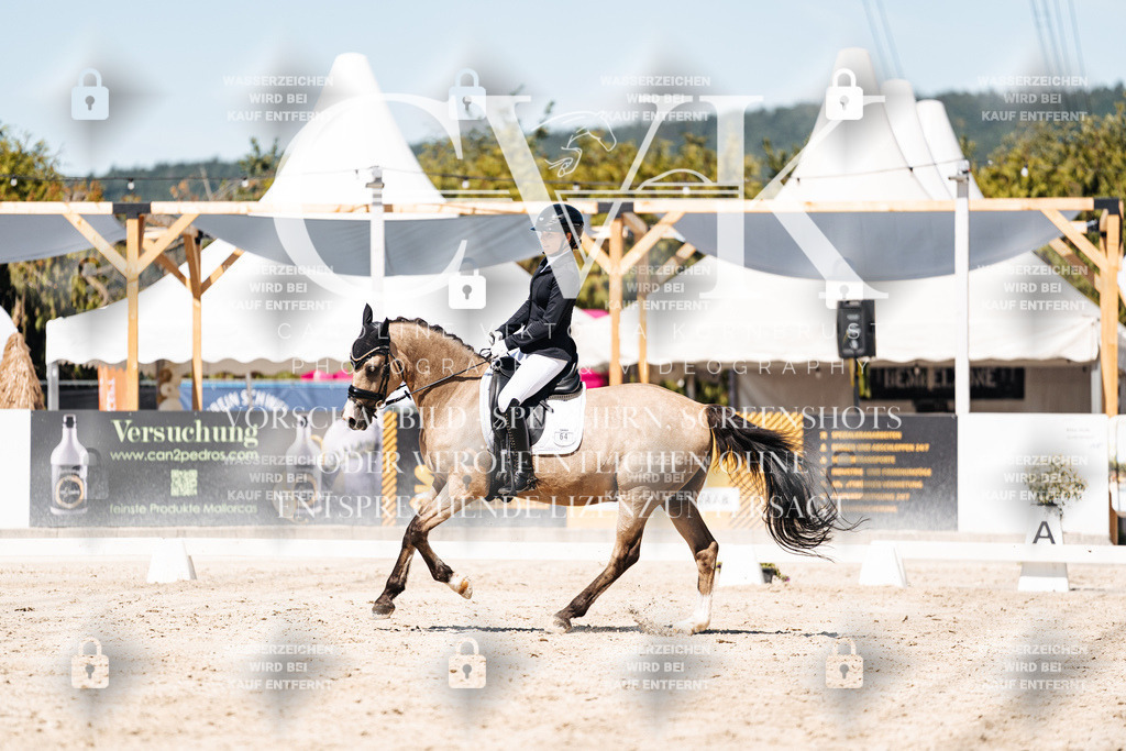 CK909903 | Turnierfotografie Pferdefotografie Trier Rheinland-Pfalz Pferdesport Reitsport Tierfotografie Sportfotografie Pferdevideo Pferdevideografie Equestrianvideography equestrianphotography  - Realisiert mit Pictrs.com