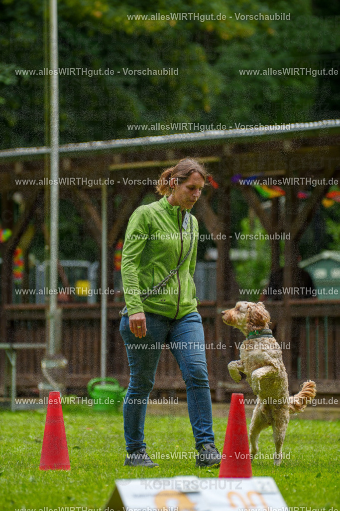 @allesWIRTHgut_Tierfotografie - www.allesWIRTHgut.de - 092305-7R507011 | Professionelle Tierfotografie in Mönchengladbach von Daniel Wirth (allesWIRTHgut). Liebevolle & natürliche Bilder von Hunden & Katzen für unvergessliche Erinnerungen.