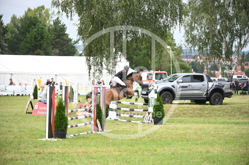 DSC_1612 | sattelsport - Realisiert mit Pictrs.com