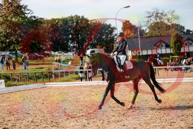 2026_10_03_Siefer-Hof_133620_Z63_96764151 | Professionelle Reitsport-, Turnier- und Eventfotografie von Robert Broda. Galerien mit ausgewählten und bearbeiteten Bildern direkt online ansehen und bestellen.