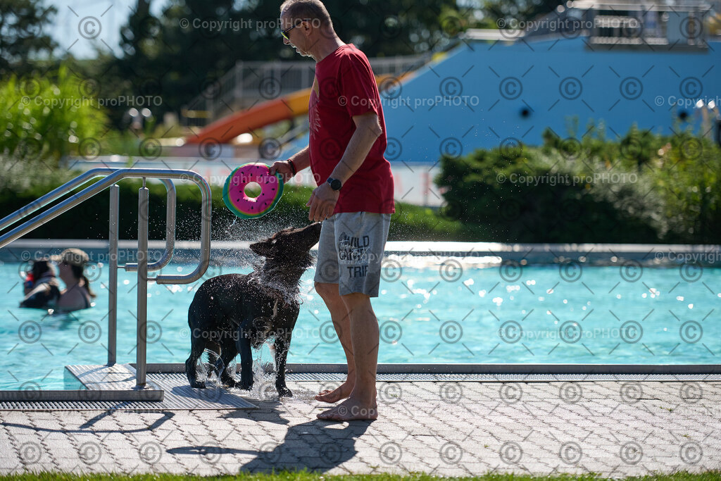 102_202509_4Hundebadetag_NZ9_2438 | proPHOTO - Realisiert mit Pictrs.com