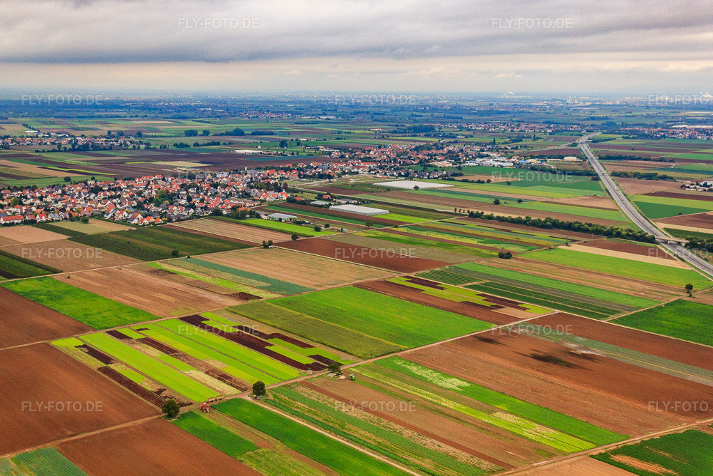 Luftbild: Ortsansicht von Süden im Ortsteil Assenheim in Hochdorf-Assenheim im Bundesland Rheinland-Pfalz in Deutschland. Foto: IMG_34179.jpg vom 02.10.2010 durch Werner Riehm/FLY-FOTO.deAuflösung des Originals: 4752 x 3168 px
