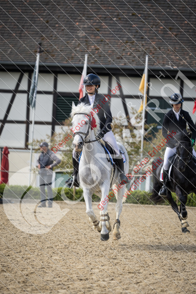 CON_0757 | Sport-, Event- und Tierfotos in Profiqualität. Einfach auswählen, bestellen und herunterladen. Dein Moment – perfekt festgehalten.