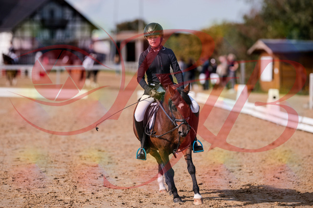 2026_10_03_Siefer-Hof_121042_Z81_13053446 | Professionelle Reitsport-, Turnier- und Eventfotografie von Robert Broda. Galerien mit ausgewählten und bearbeiteten Bildern direkt online ansehen und bestellen.
