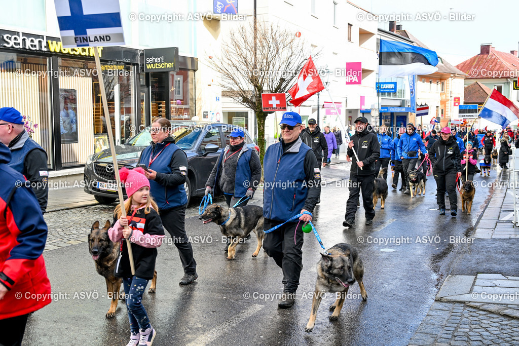 ASVÖ_ Tracking Dog World Championship 2025_ 31.03.2025-196 | 31.03.2025, AUT, ASVÖ, Tracking Dog World Championship // FCI IGP Fährtenhundeweltmeisterschaft 2025©fodo.media / Harald Dostal - Realisiert mit Pictrs.com