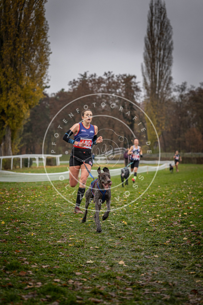 CaniXpix_DV3A9055 | Hundefotografie, Tierfotograf, Pfotenfotografie, Fotoshooting Hund, Hunde Portrait, Hundesport, Hundeportraits, Heideshooting, Hunde, Sportfotograf, Hundefotograf, Turnierhundsport, THS,  - Realisiert mit Pictrs.com