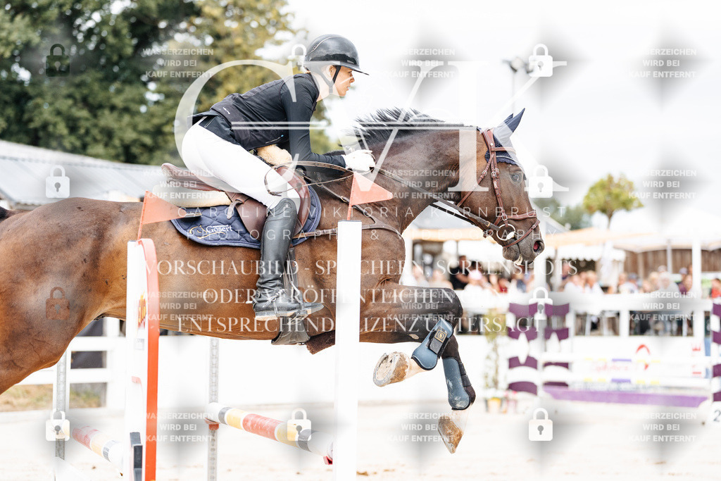 CK906207 | Turnierfotografie Pferdefotografie Trier Rheinland-Pfalz Pferdesport Reitsport Tierfotografie Sportfotografie Pferdevideo Pferdevideografie Equestrianvideography equestrianphotography  - Realisiert mit Pictrs.com