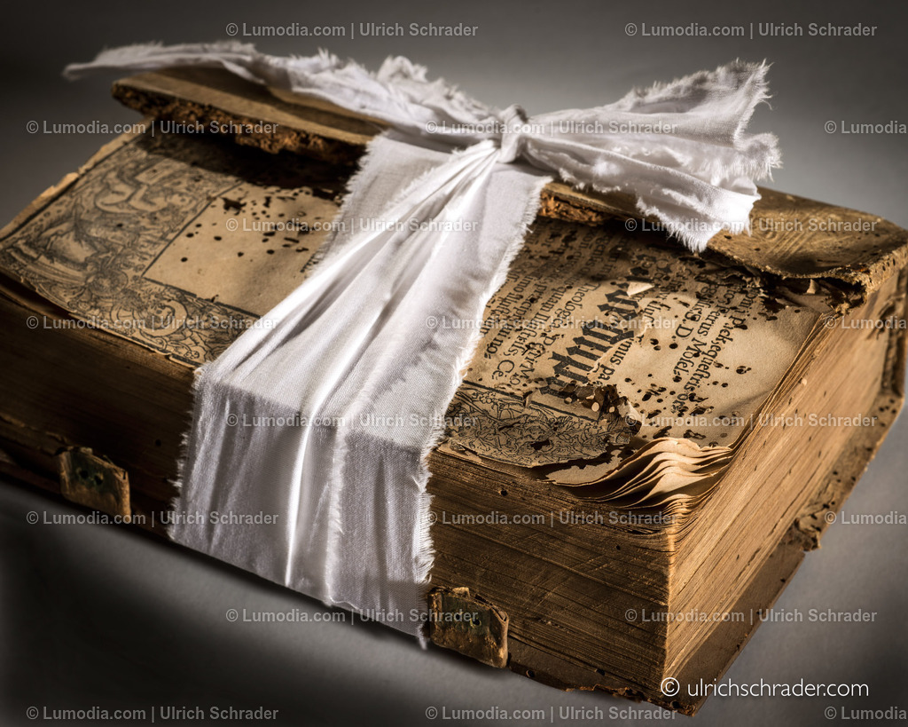 _ulrichschrader.com-82 | Stockfoto und Bilderpool mit Bildmaterial aus Deutschland, dem Harz, Halberstadt, Quedlinburg, Wernigerode und weltweit. Qualitativ hochwertige und professionelle Fotos anschauen und kaufen. - Realisiert mit Pictrs.com