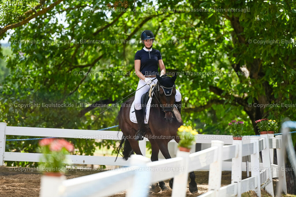 20230715_05_Dressurprüfung Kl.A++_0231 | equistock