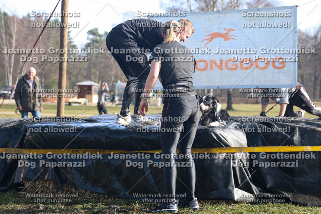 Dog Paparazzi - Strongdog North Mrz26-1209 | Dog Paparazzi Jeanette Grottendiek Fotografie & Videografie - Realisiert mit Pictrs.com