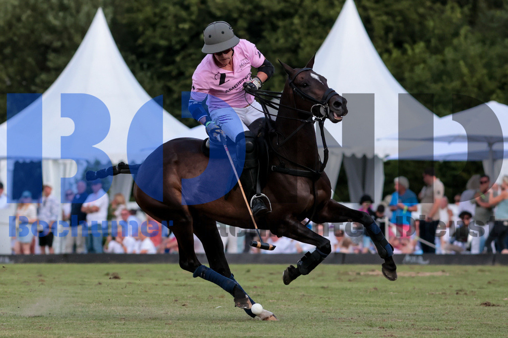 20. Polopicknick Muenster {date} -  | {headline}(Foto: Sebastian Sendlak / BOND) - Realisiert mit Pictrs.com