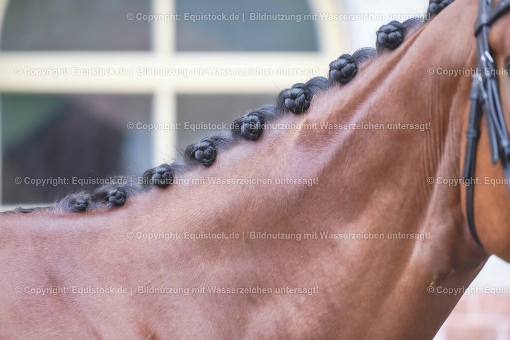 20230514_Impressionen_0158 | equistock