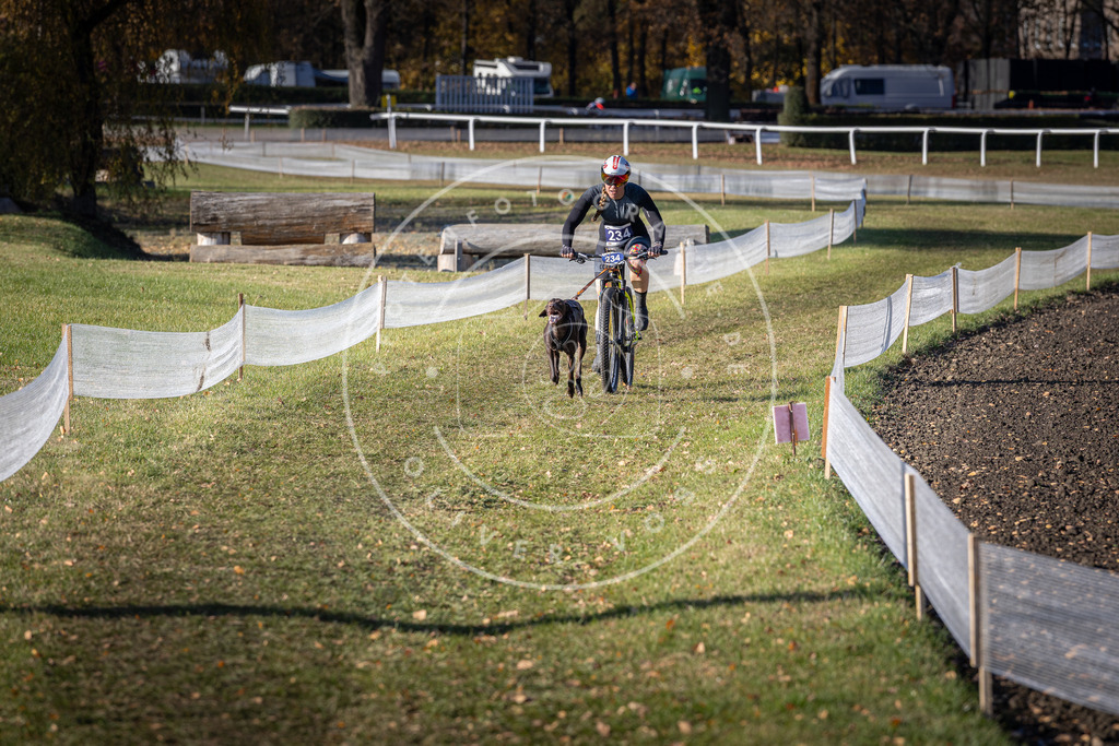 CaniXpix_DV3A3974 | Hundefotografie, Tierfotograf, Pfotenfotografie, Fotoshooting Hund, Hunde Portrait, Hundesport, Hundeportraits, Heideshooting, Hunde, Sportfotograf, Hundefotograf, Turnierhundsport, THS,  - Realisiert mit Pictrs.com