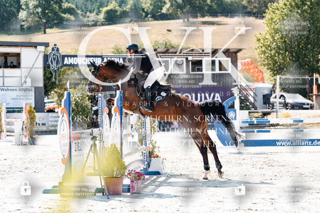 CK908340 | Turnierfotografie Pferdefotografie Trier Rheinland-Pfalz Pferdesport Reitsport Tierfotografie Sportfotografie Pferdevideo Pferdevideografie Equestrianvideography equestrianphotography  - Realisiert mit Pictrs.com