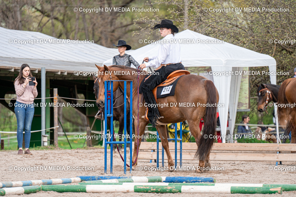 BAL02478 | dv-media-shop - Realisiert mit Pictrs.com