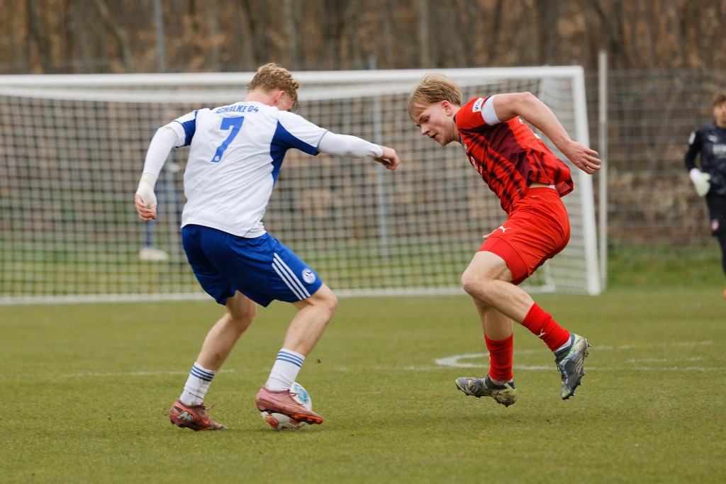 20260412-FCHS04_157 | 1.FC Heidenheim 1846 vs. FC Schalke 04, Fußball, U19, A-Junioren, NWL, U19-DFB-Nachwusliga, 2025/2026, 8. Spieltag, 12.04.2026 in Heidenheim, Walter-Birkhold-Jugendstadion (Foto: Michael Bulling) - Realisiert mit Pictrs.com