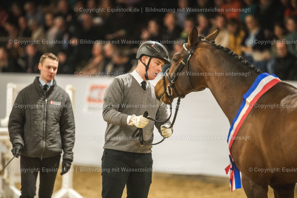 20240302_Hengstvorstellung_Marbach_TOMsPiC_0460 | equistock