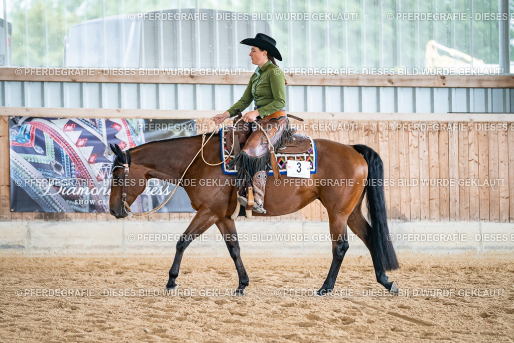 DSC02827 | Pferdegrafie