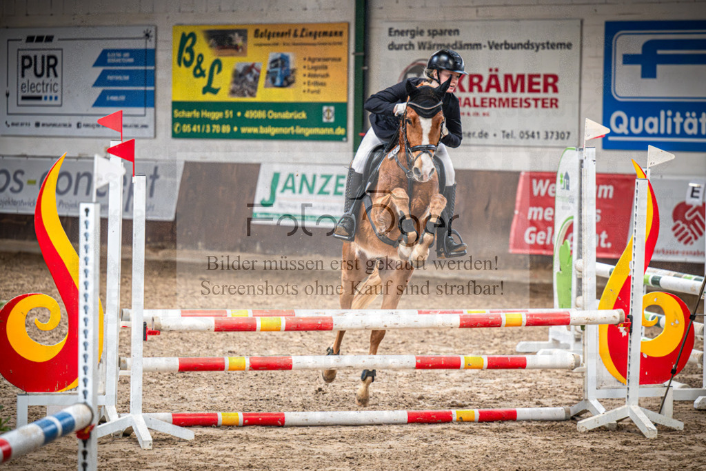 DOS_0582 | Entdecke hochwertige Reitturnierfotos von Foto Oger. Professionell, emotional und authentisch – jetzt Lieblingsmomente im Shop bestellen.Deutschlandweite Turnierfotografie. - Realisiert mit Pictrs.com