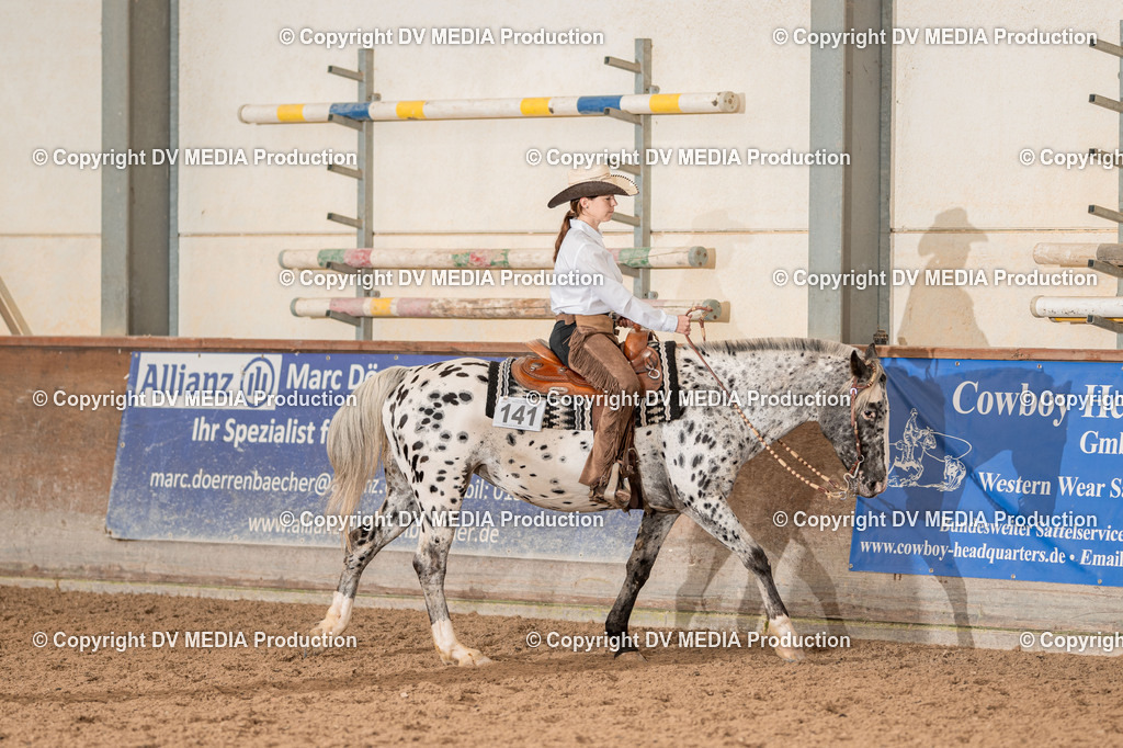 LM Heiligenwald Tag 3-1012 | dv-media-shop - Realisiert mit Pictrs.com