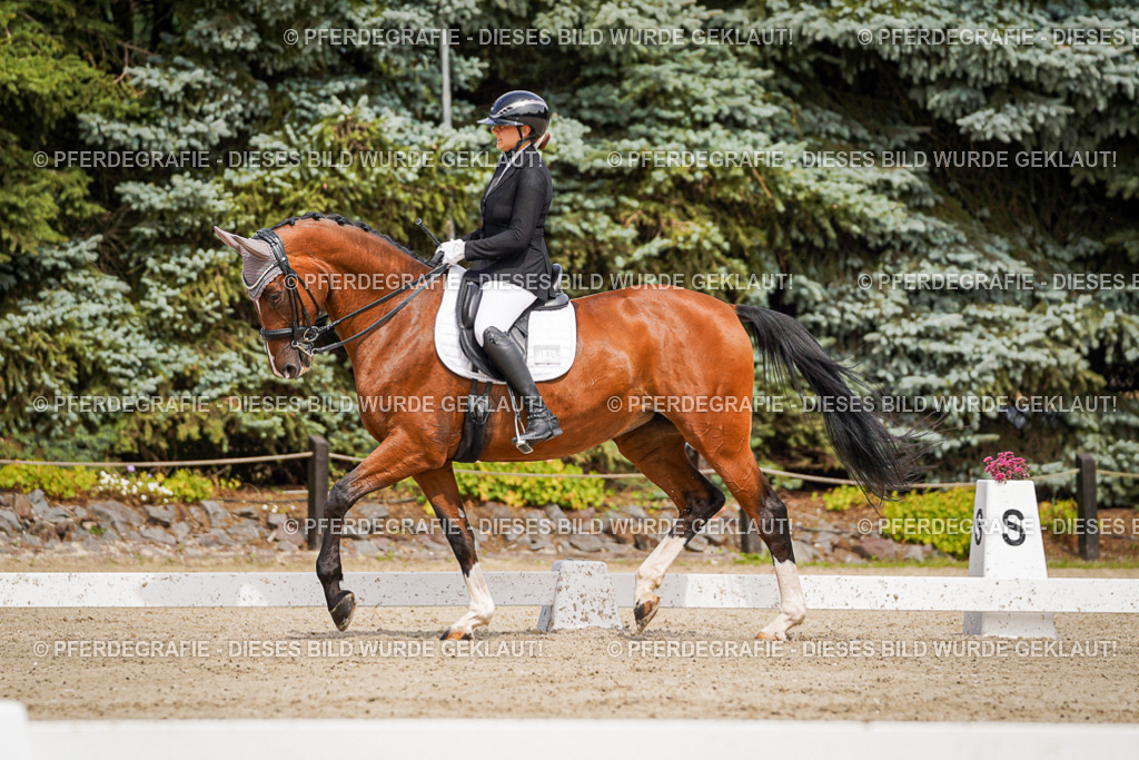 DSC05333 | Pferdegrafie