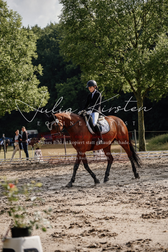 DSC_8251 | Pferde- und Turnierfotografie in Westsachsen. Pferdeportraits, Auftragszeichnungen und intuitive Kunst.