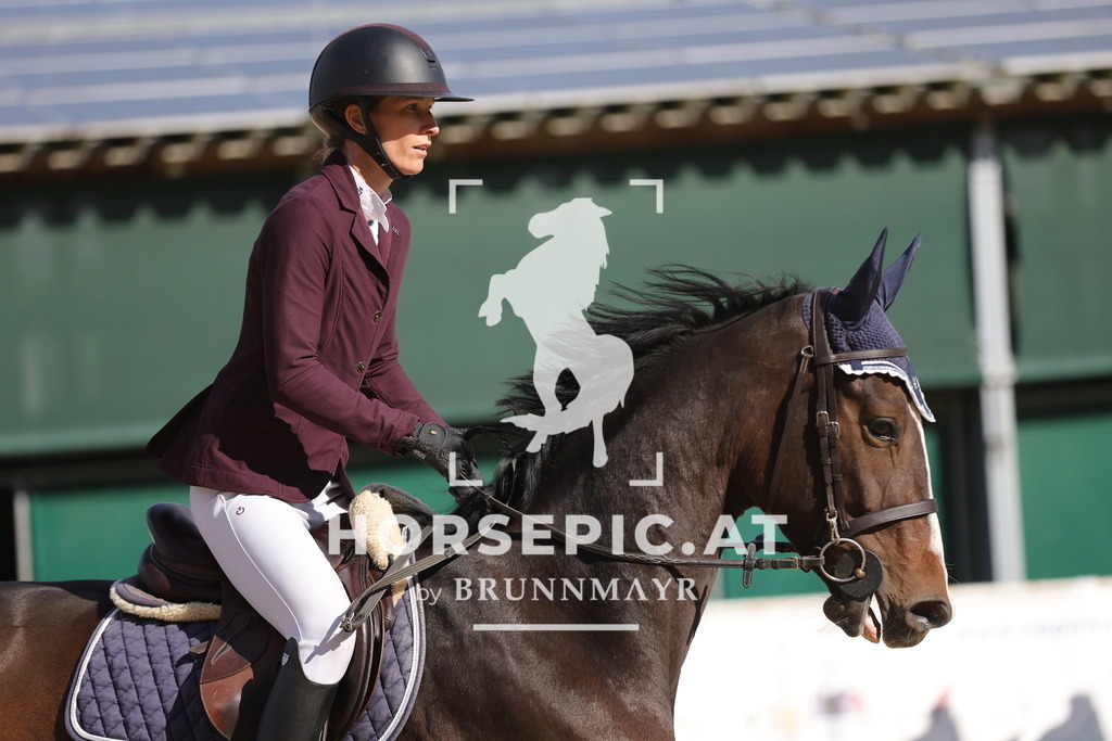0P6A8778 | Willkommen bei Brunnmayr - Design & Fotografie – Ihrem Spezialisten für Reitturniere und Pferdeveranstaltungen in Oberösterreich, Salzburg und Bayern! Seit über 17 Jahren sind wir leidenschaftlich dabei.