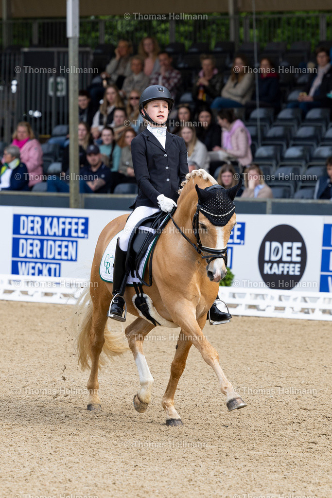 TH_649 NK Cyrill_ Mia Steinbusch_7922 | Deutsches Spring- und Dressur-Derby 2023 am 21.05.23 in Hamburg, Derby Platz Klein Flottbek, Thomas Hellmann, _Y7A8478