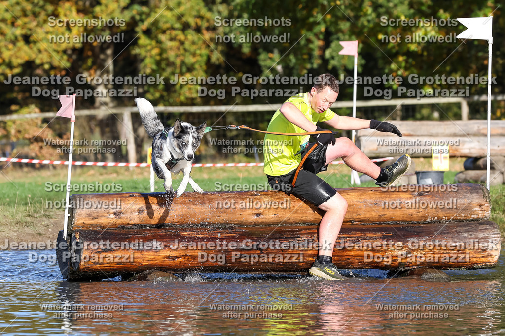 Dog Paparazzi - Strongdog 10-25-8671 | Dog Paparazzi Jeanette Grottendiek Fotografie & Videografie - Realisiert mit Pictrs.com
