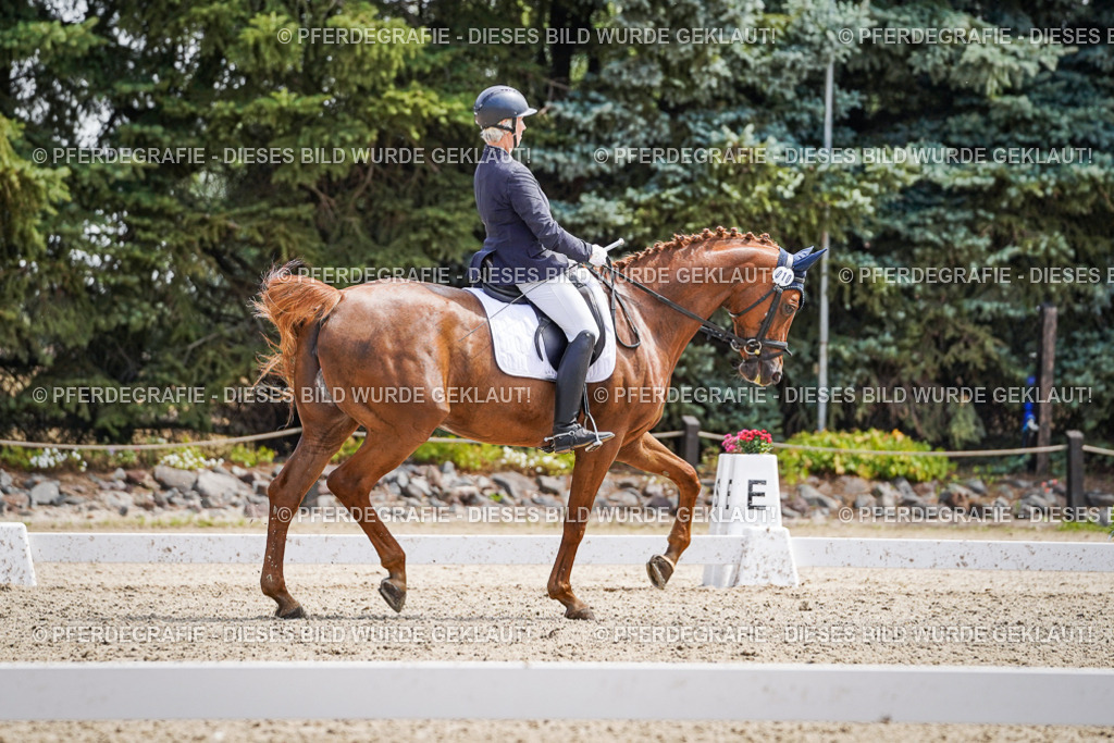 DSC00422 | Pferdegrafie