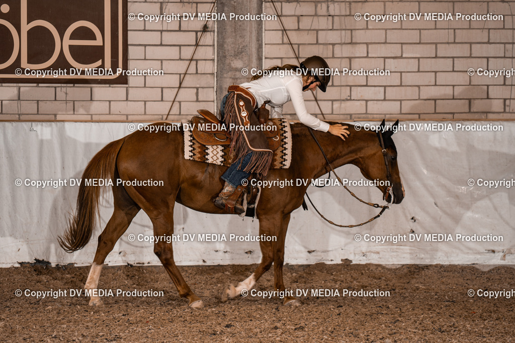 ZH300582 | dv-media-shop - Realisiert mit Pictrs.com