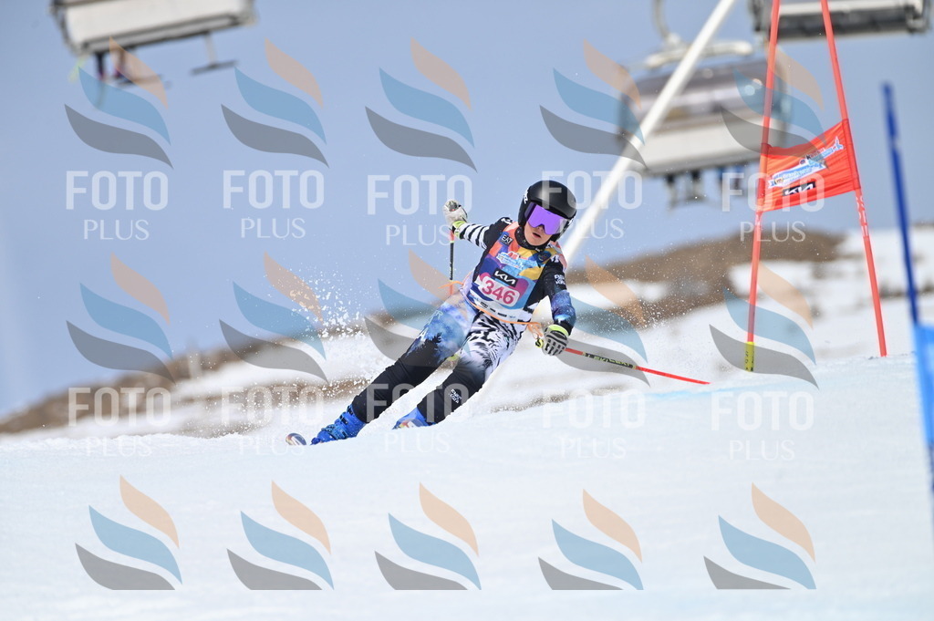 BGV_3551 | holidayphoto