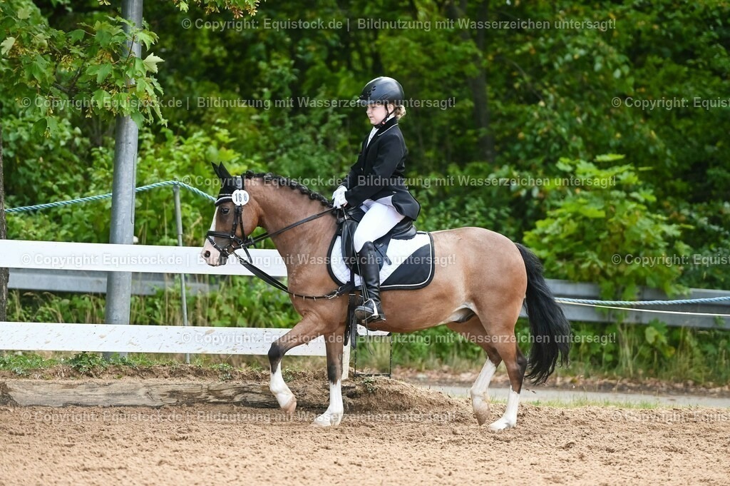 20230716_10-2_Reiter-WB Schritt - Trab - Galopp_0147 | equistock