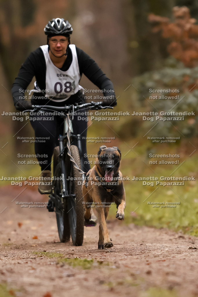 Dog Paparazzi - Speedhunter Mannheim  2025-23 | Dog Paparazzi Jeanette Grottendiek Fotografie & Videografie
