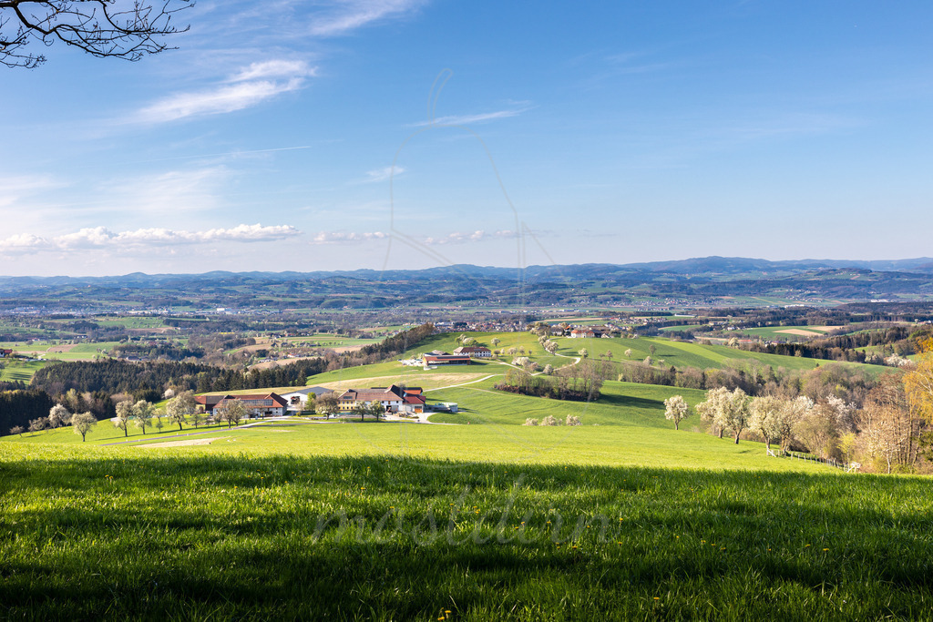 Birnbaumpanorama Euratsfeld | Bei Veröffentlichung des Bildes ist eine Namensnennung wie folgt erforderlich: Foto: Mostdirn Irmgard Wieser - Realisiert mit Pictrs.com