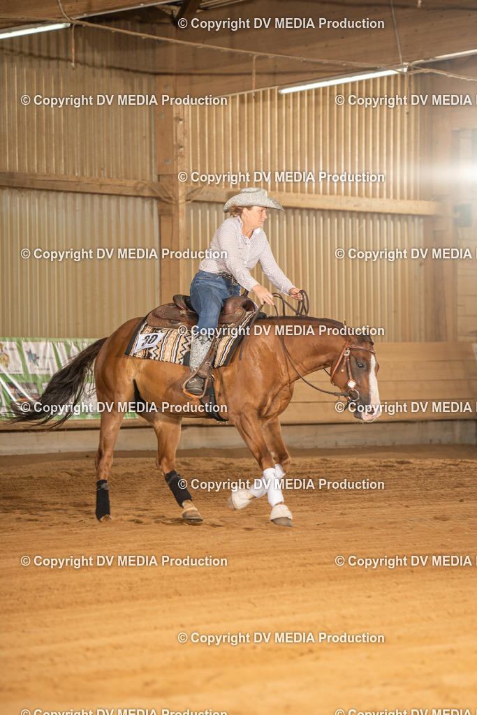 NID02249 | dv-media-shop - Realisiert mit Pictrs.com