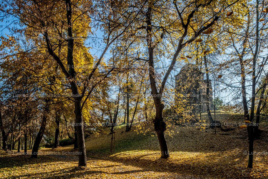 10049-4633 - Landschaftspark Spiegelsberge | Stockfoto und Bilderpool mit Bildmaterial aus Deutschland, dem Harz, Halberstadt, Quedlinburg, Wernigerode und weltweit. Qualitativ hochwertige und professionelle Fotos anschauen und kaufen. - Realisiert mit Pictrs.com