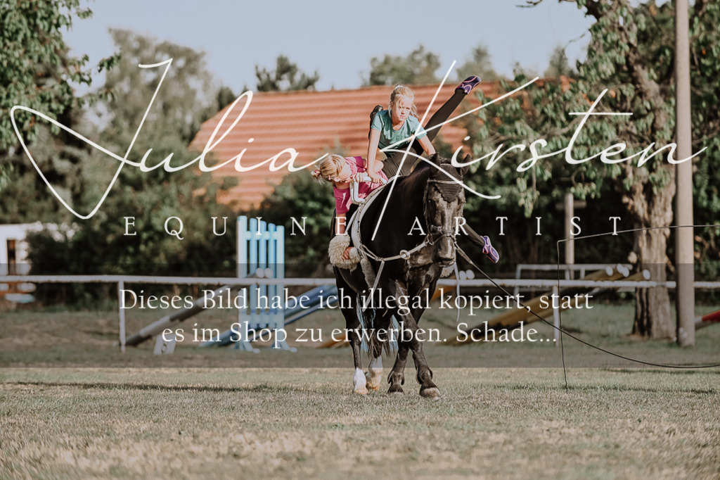 DSC_9948 | Pferde- und Turnierfotografie in Westsachsen. Pferdeportraits, Auftragszeichnungen und intuitive Kunst.