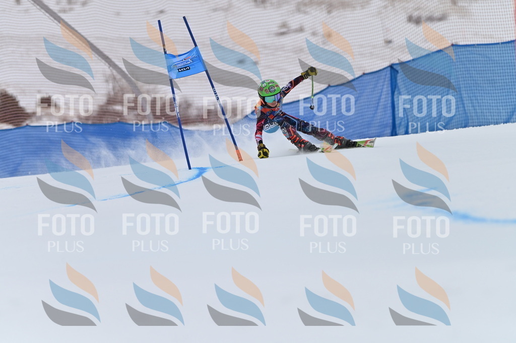 BGV_0330 | holidayphoto