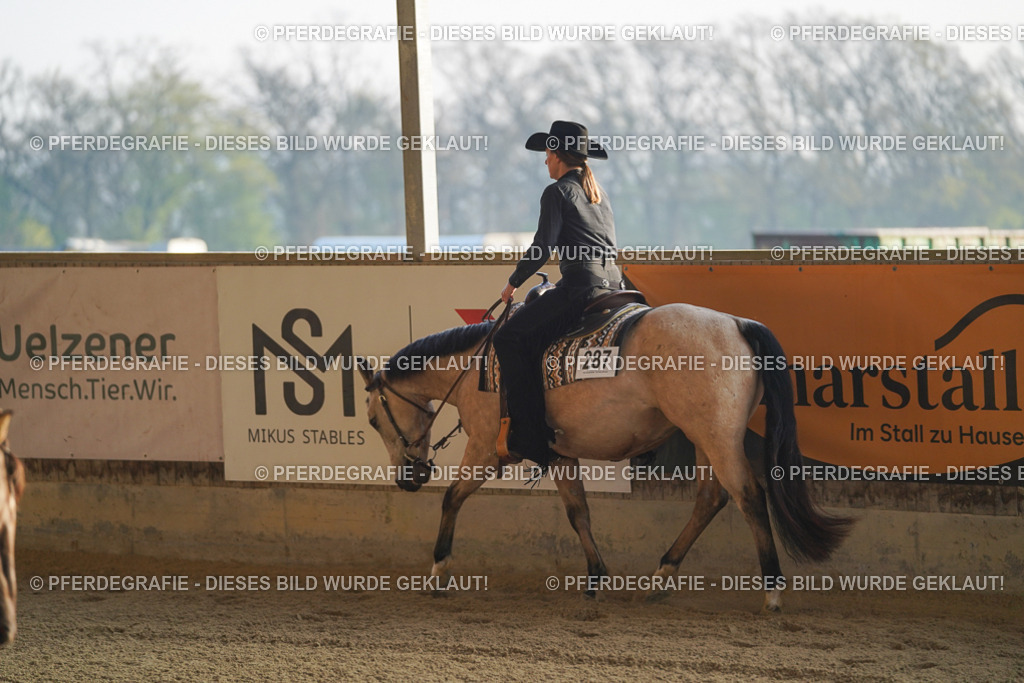 DSC07590 | Pferdegrafie