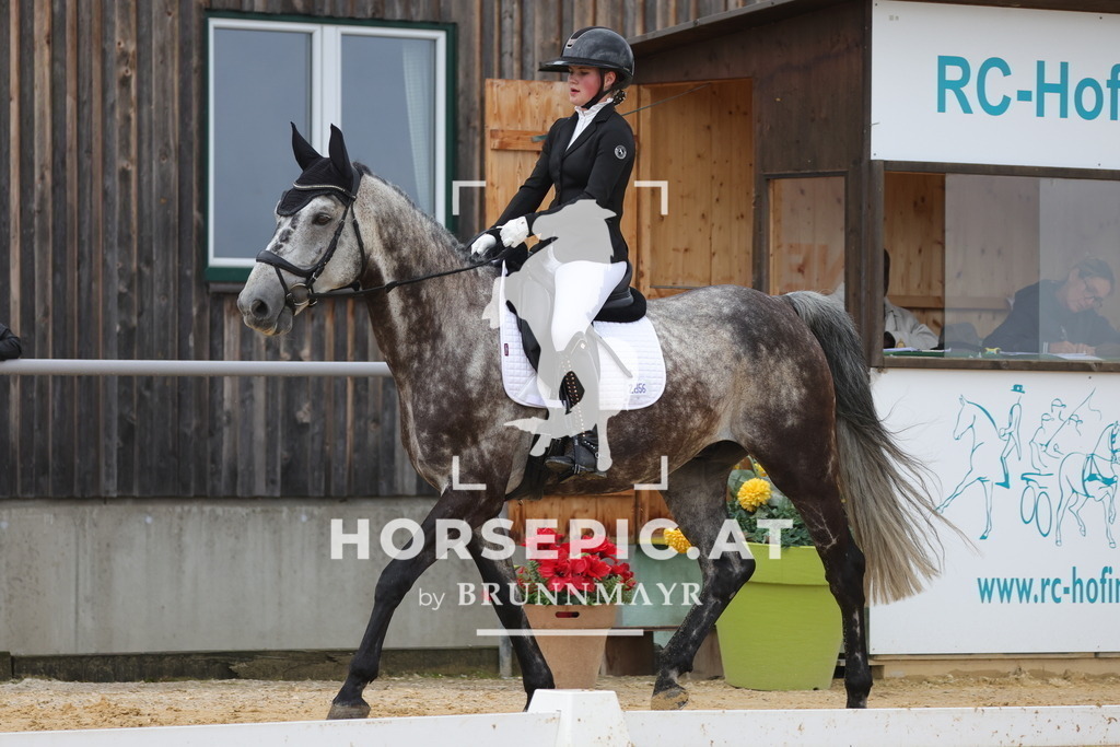 0P6A1680 | Willkommen bei Brunnmayr - Design & Fotografie – Ihrem Spezialisten für Reitturniere und Pferdeveranstaltungen in Oberösterreich, Salzburg und Bayern! Seit über 17 Jahren sind wir leidenschaftlich dabei.