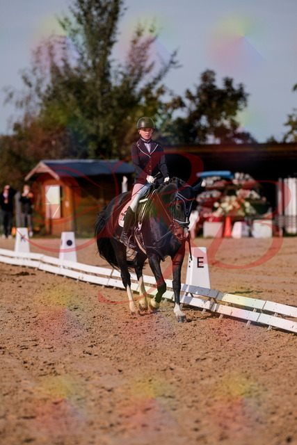 2026_10_03_Siefer-Hof_121413_Z81_15893730 | Professionelle Reitsport-, Turnier- und Eventfotografie von Robert Broda. Galerien mit ausgewählten und bearbeiteten Bildern direkt online ansehen und bestellen.