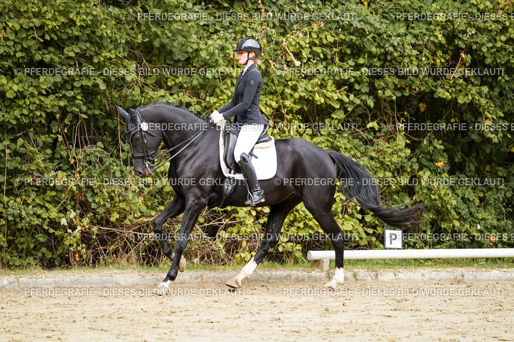 DSC03563 | Pferdegrafie