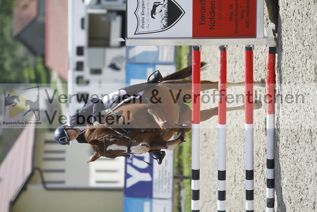 _MG_1991 | equestrian-live-com